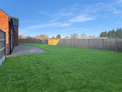Picture 16